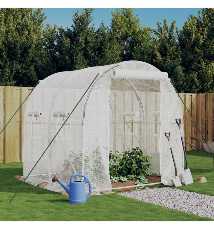 Serre avec cadre en acier blanc 4 m² 2x2x2 m | Mobilier & Déco