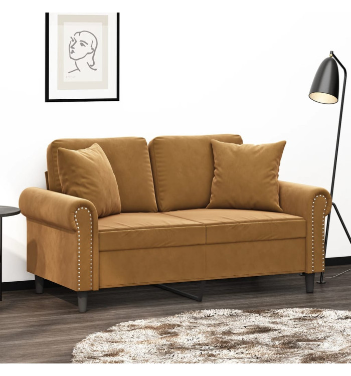 Coussins décoratifs lot de 2 Marron 40x40 cm Velours | Mobilier & Déco