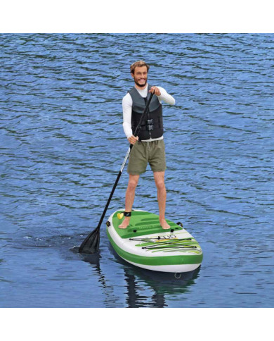 Bestway SUP gonflable Hydro-Force Freesoul Tech 340x89x15 cm | Mobilier & Déco