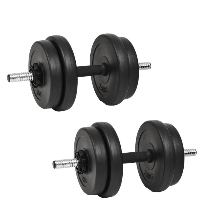 Haltère avec plaques 40 kg | Mobilier & Déco