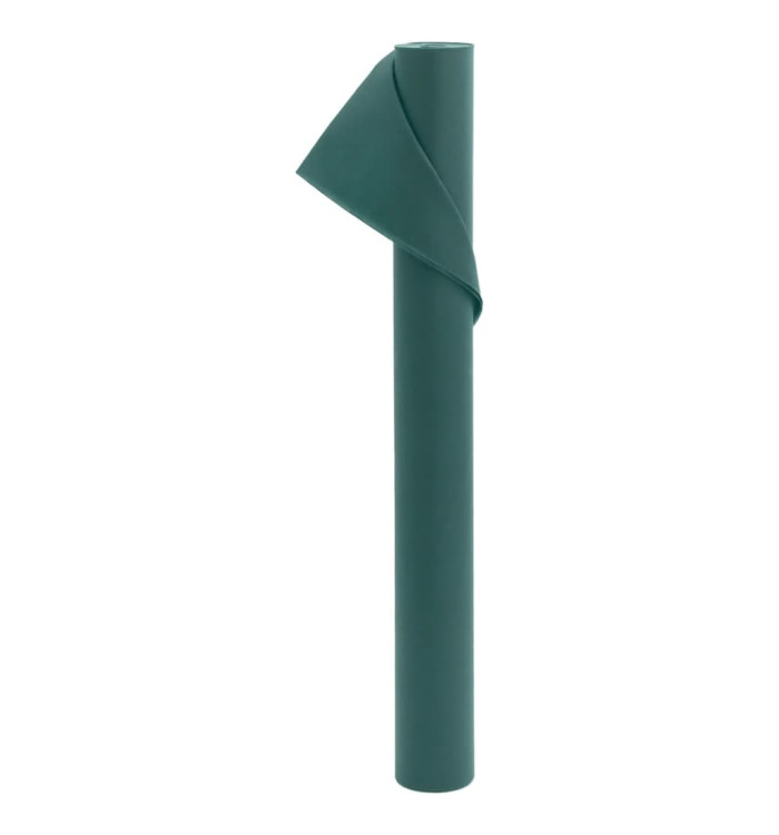 Toison végétale 70 g/m² 10x1,6 m | Mobilier & Déco