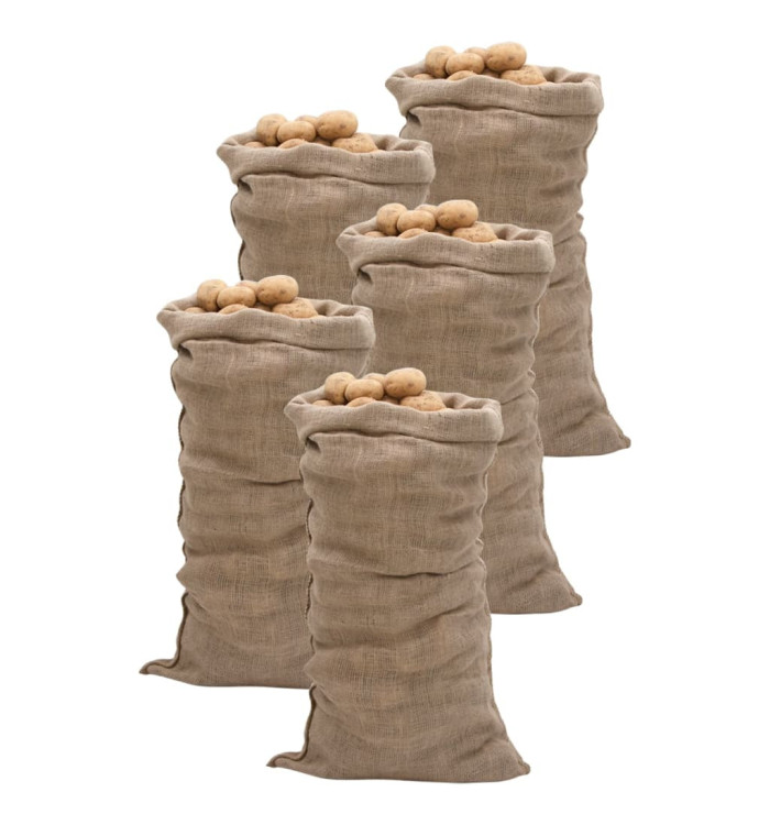 Sacs en jute 5 pcs 65x135 cm 100 % jute 220 g/m² | Mobilier & Déco
