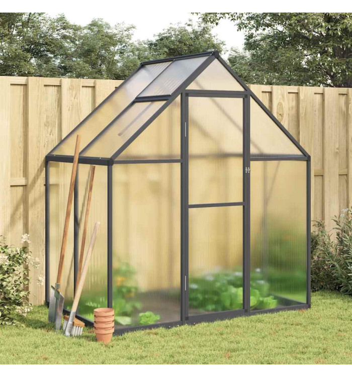 Serre avec cadre de base anthracite 169x114x195 cm aluminium | Mobilier & Déco