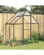 Serre avec cadre de base anthracite 169x114x195 cm aluminium | Mobilier & Déco