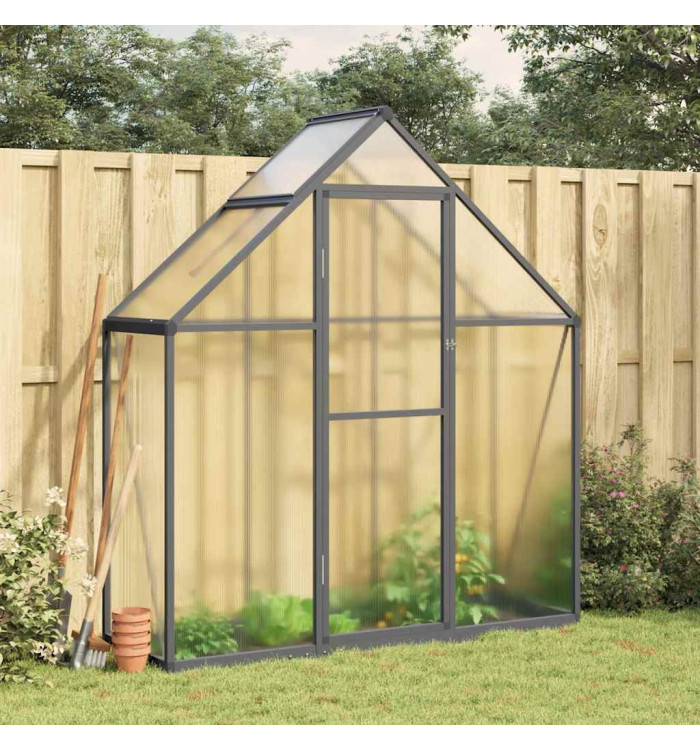 Serre avec cadre de base anthracite 169x58x195 cm aluminium | Mobilier & Déco