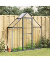 Serre avec cadre de base anthracite 169x58x195 cm aluminium | Mobilier & Déco