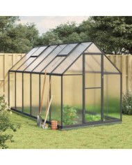 Serre avec cadre de base anthracite 334x169x202 cm aluminium | Mobilier & Déco