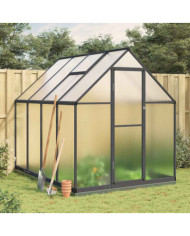 Serre avec cadre de base anthracite 224x169x202 cm aluminium | Mobilier & Déco