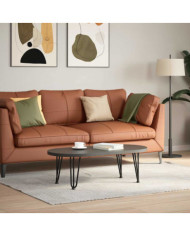 Pieds en épingle à cheveux pour table basse 4 pièces Noir 30 cm Acier massif | Mobilier & Déco