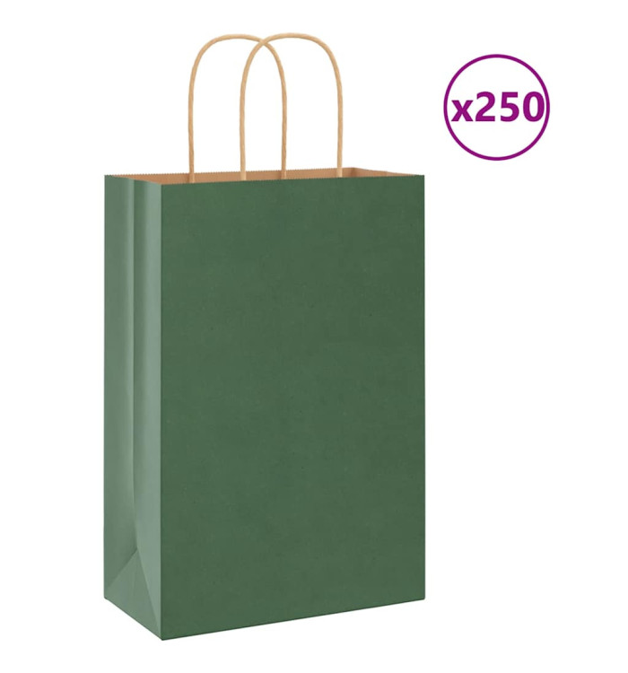 Sacs en papier 250 pcs avec poignées vert 21x11x31 cm | Mobilier & Déco