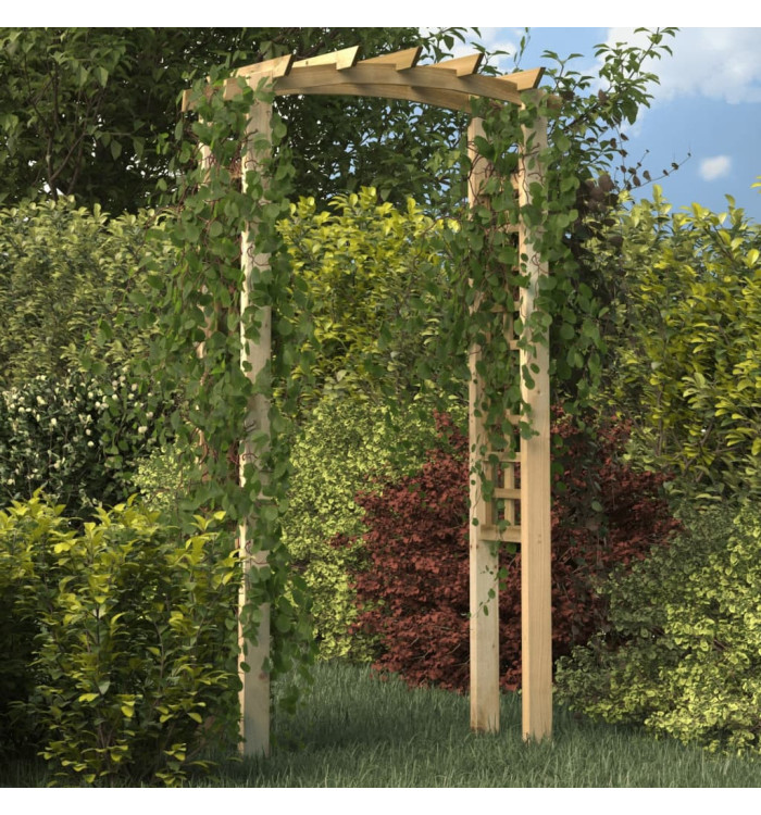 Arche en treillis 110x60x210 cm Bois de pin massif imprégné | Mobilier & Déco