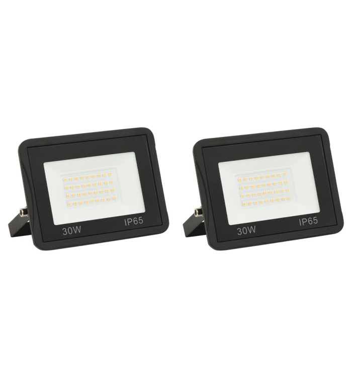Projecteurs à LED 2 pcs 30 W Blanc froid | Mobilier & Déco