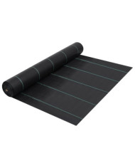 Toile de paillage Noir 2x100 m PP | Mobilier & Déco