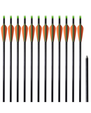 Flèche d'arc à poulies standard 12pcs 30" 0,8 cm fibre de verre | Mobilier & Déco