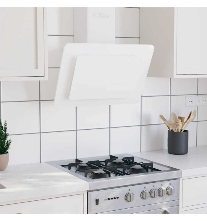 Hotte murale 60 cm Acier inoxydable et verre trempé Blanc | Mobilier & Déco