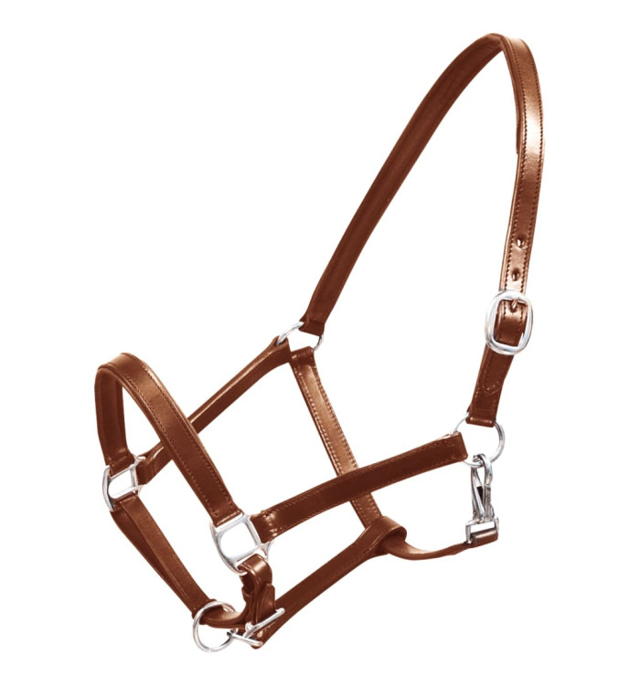 Licol Licou en cuir réglable pour écurie Cheval Marron | Mobilier & Déco