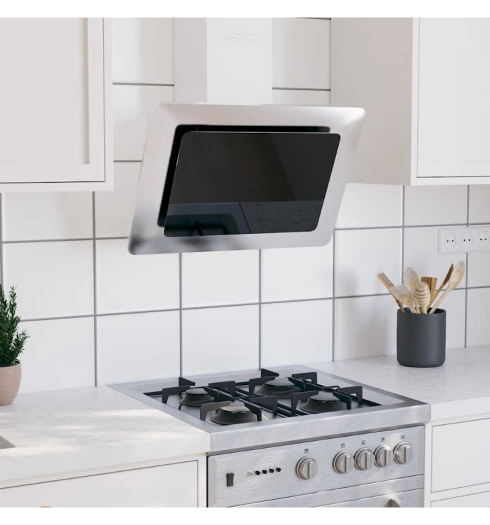 Hotte murale 60 cm Acier inoxydable et verre trempé Argenté | Mobilier & Déco