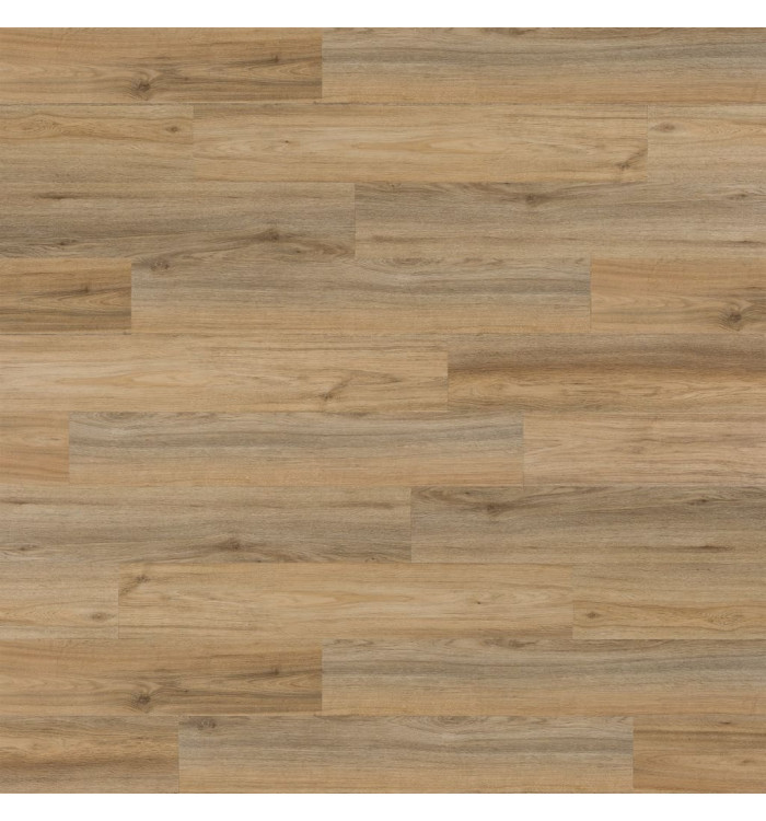 WallArt Planches d'aspect bois 30 pcs GL-WA27 chêne naturel brun latte | Mobilier & Déco