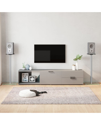 Supports de haut-parleurs 2 pcs argenté verre trempé 1 pilier | Mobilier & Déco