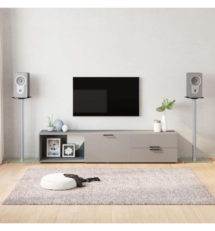 Supports de haut-parleurs 2 pcs argenté verre trempé 1 pilier | Mobilier & Déco