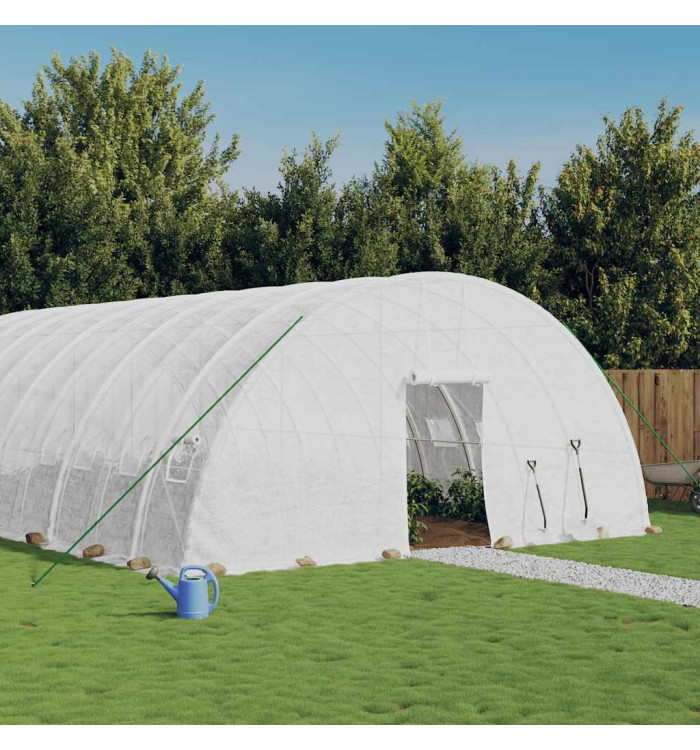 Serre avec cadre en acier blanc 36 m² 6x6x2,85 m | Mobilier & Déco
