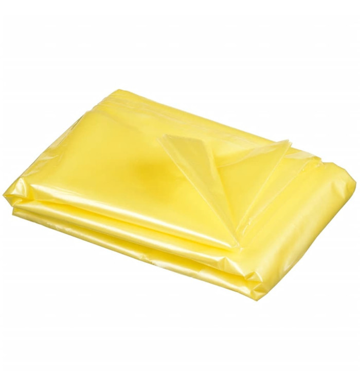 Nature Film de tunnel pour culture 2,5 x 10 m Jaune 6030212 | Mobilier & Déco