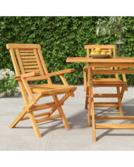 Chaises de jardin pliantes lot de 2 56x63x90cm bois massif teck | Mobilier & Déco