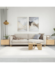 Tables basses 2 pcs chêne sonoma 50x50x40 cm bois d'ingénierie | Mobilier & Déco