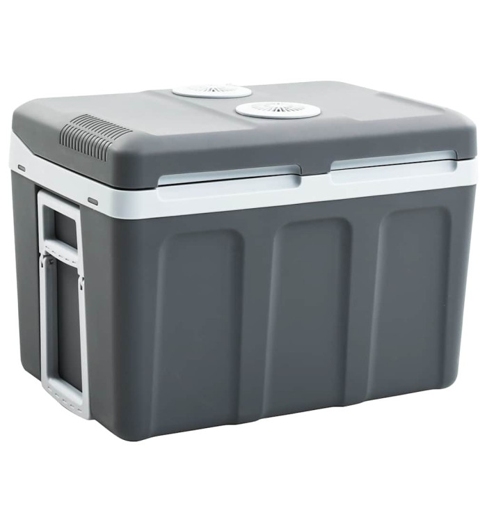 Glacière portable thermoélectrique 40 L 12 V 230 V E | Mobilier & Déco