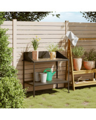 Support pour plantes anthracite 100x54,5x100 cm acier galvanisé | Mobilier & Déco