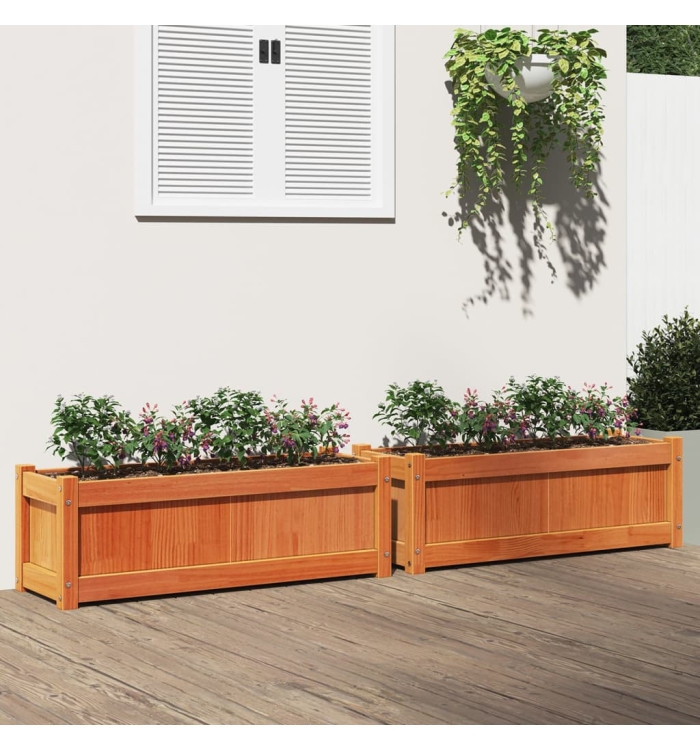Jardinières 2 pcs cire marron bois de pin massif | Mobilier & Déco