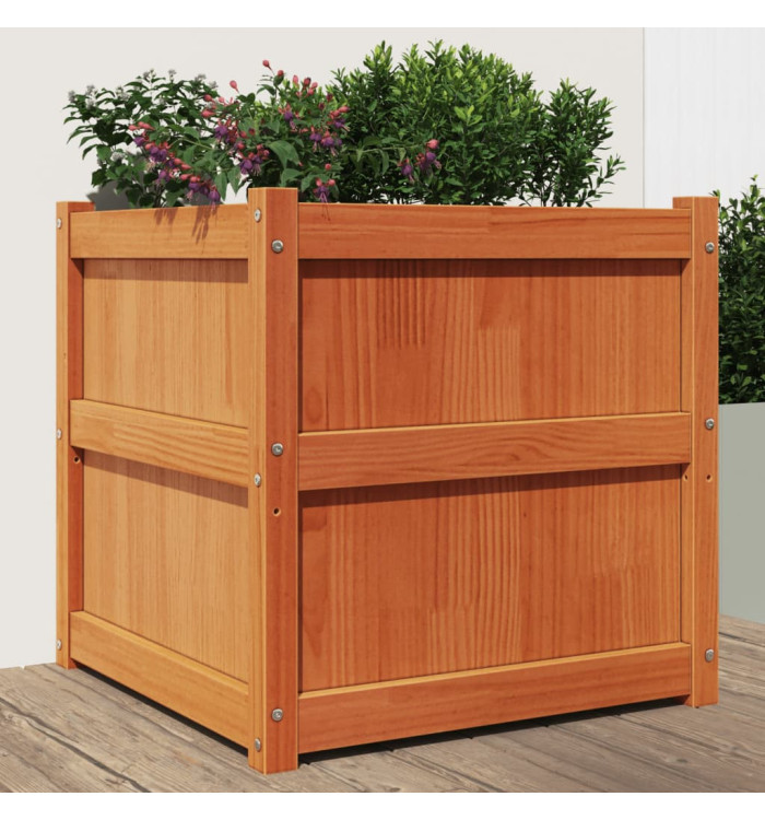 Jardinière cire marron 60x60x60 cm bois de pin massif | Mobilier & Déco