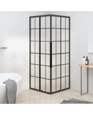 Cabine de douche ESG dépoli 80x80x180 cm Noir | Mobilier & Déco