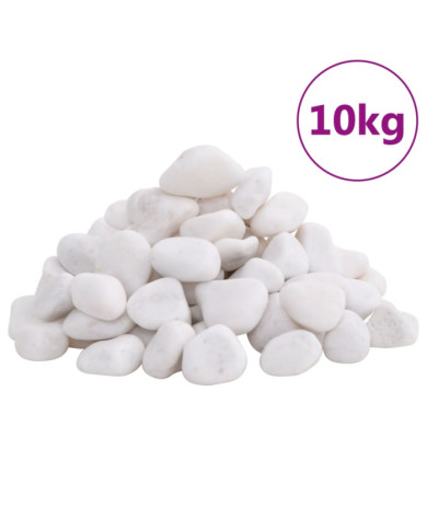 Galets polis 10 kg blanc 2-5 cm | Mobilier & Déco