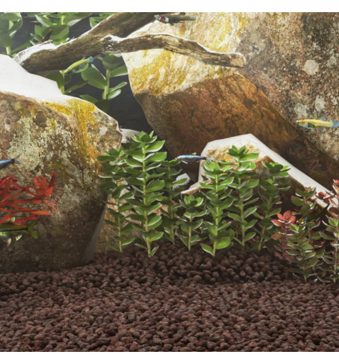 Roches volcaniques 10 kg rouge 5-8 mm | Mobilier & Déco