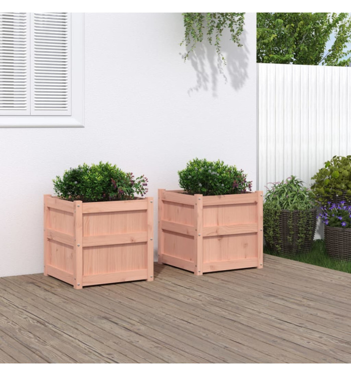 Jardinières 2 pcs bois massif douglas | Mobilier & Déco