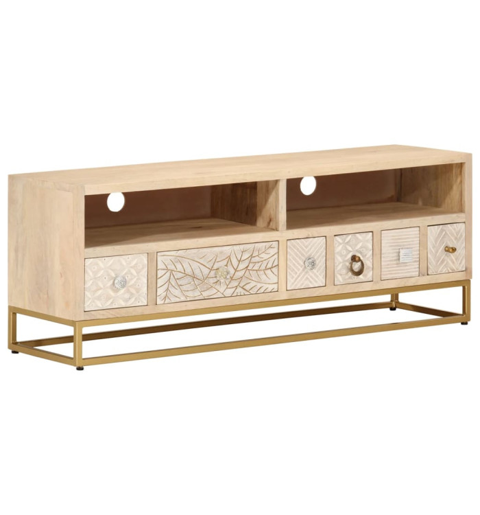 Meuble TV 110x30x40 cm bois massif de manguier et fer | Mobilier & Déco