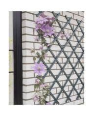 Nature Treillis de jardin 50x150 cm PVC anthracite | Mobilier & Déco