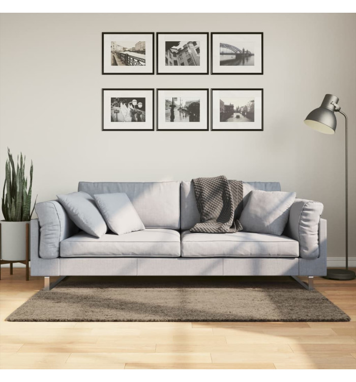 Tapis ISTAN à poils longs aspect brillant gris 80x150 cm | Mobilier & Déco