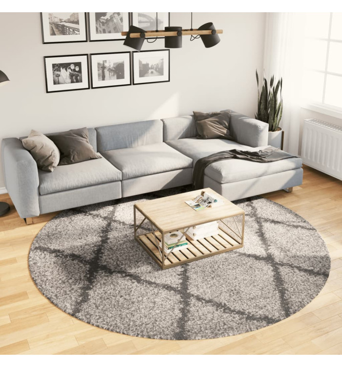 Tapis shaggy à poils longs moderne beige et anthracite Ø 240 cm | Mobilier & Déco