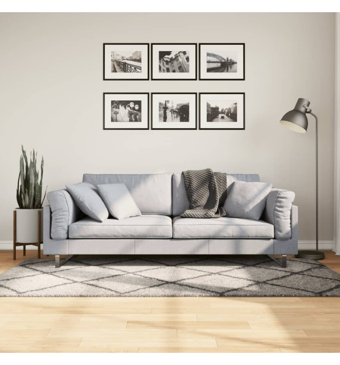 Tapis shaggy à poils longs moderne beige anthracite 100x200 cm | Mobilier & Déco