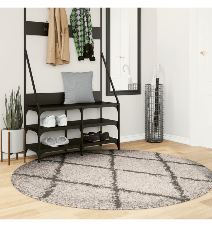 Tapis shaggy à poils longs moderne beige et anthracite Ø 160 cm | Mobilier & Déco