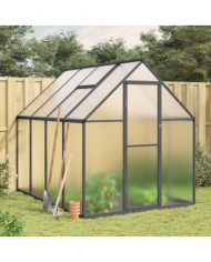 Serre avec cadre de base anthracite 224x169x195 cm aluminium | Mobilier & Déco