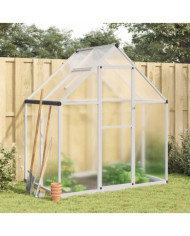 Serre avec cadre de base argent 169x114x195 cm aluminium | Mobilier & Déco