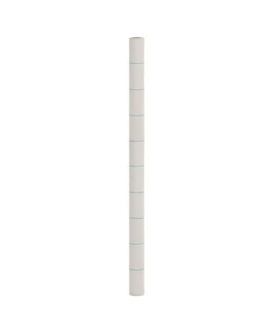 Membrane anti-mauvaises herbes blanc 2x200 m PP | Mobilier & Déco