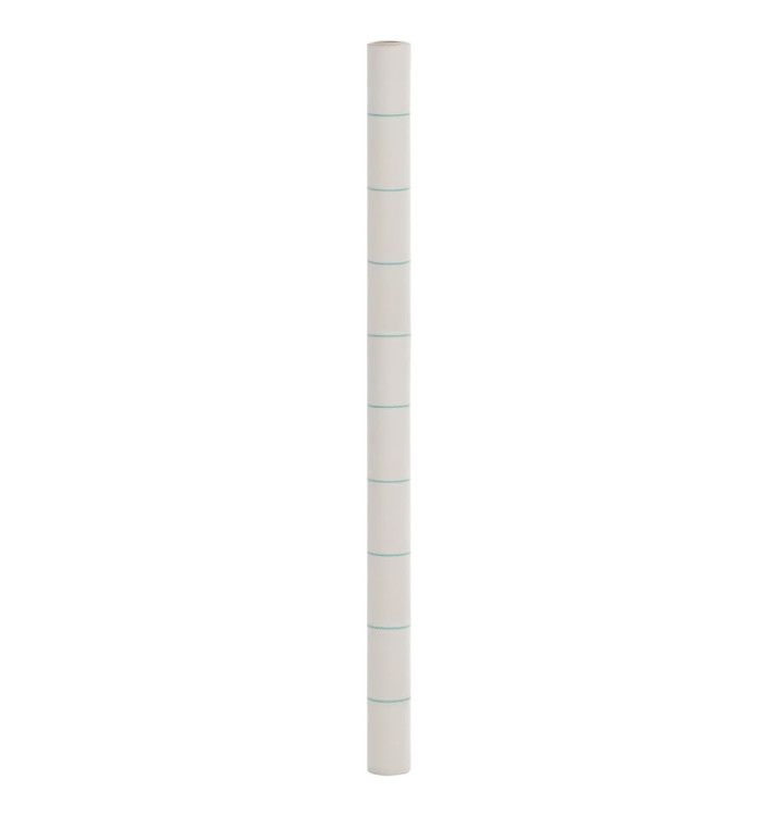 Membrane anti-mauvaises herbes blanc 2x200 m PP | Mobilier & Déco