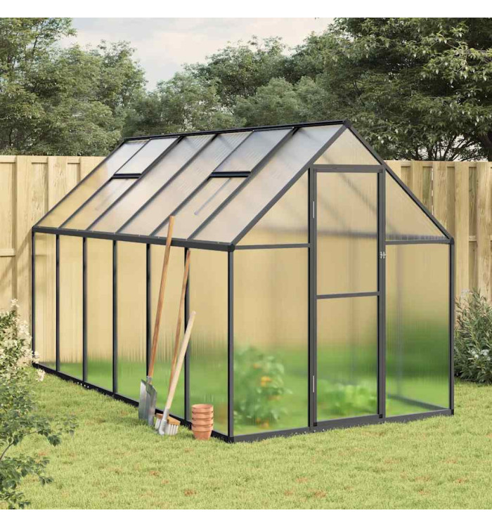 Serre avec cadre de base anthracite 334x169x195 cm aluminium | Mobilier & Déco