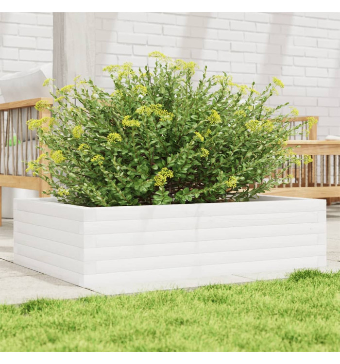 Jardinière blanc 90x60x23 cm bois de pin massif | Mobilier & Déco