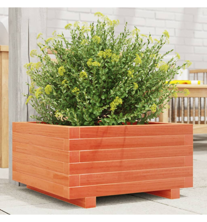 Jardinière cire marron 50x50x26,5 cm bois de pin massif | Mobilier & Déco