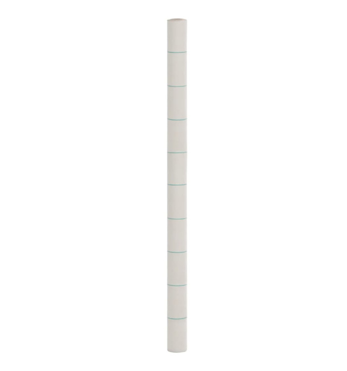 Membrane anti-mauvaises herbes blanc 2x5 m PP | Mobilier & Déco